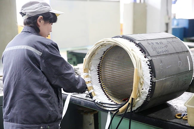 Fuel Pump Motor for train02 Fuel Pump Motor for train02